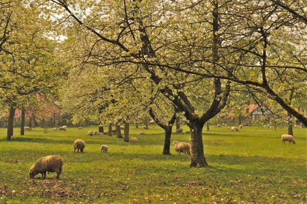 Hengelhoef wandelen